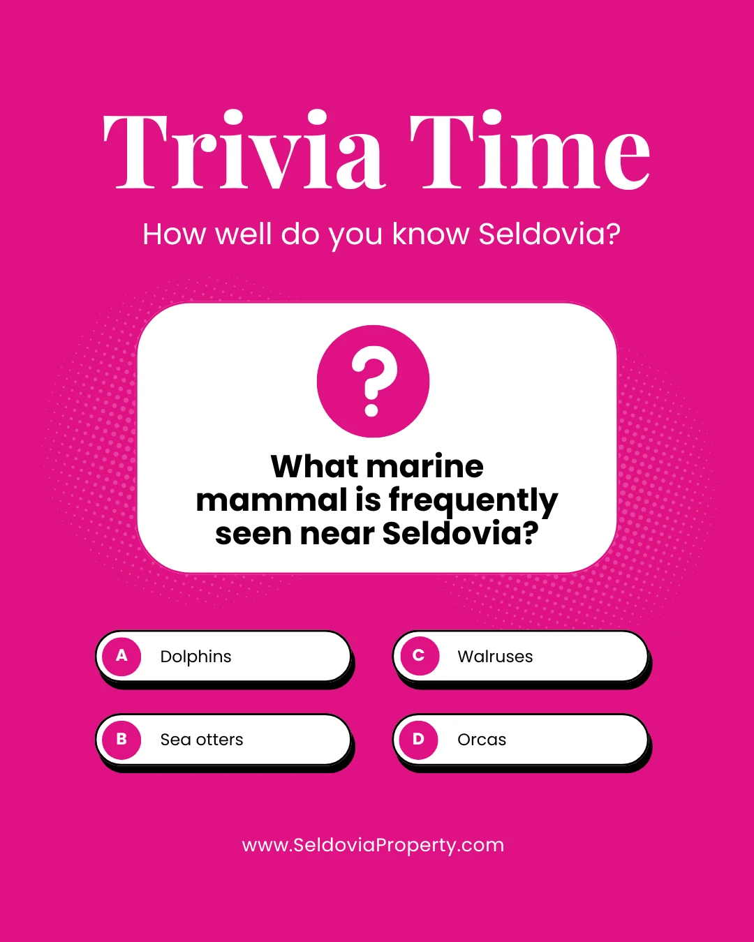 Answer: Sea otters!