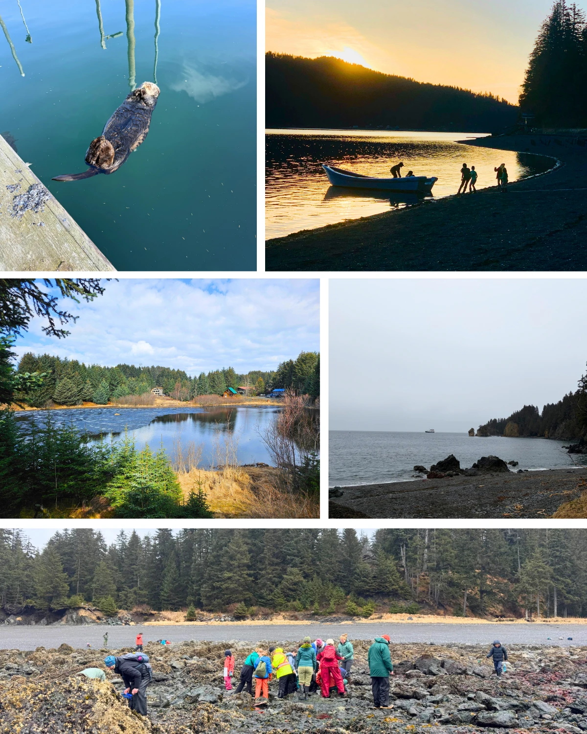Week 19 of 2026 in Seldovia carries the feeling of a community fully leaning into the season.