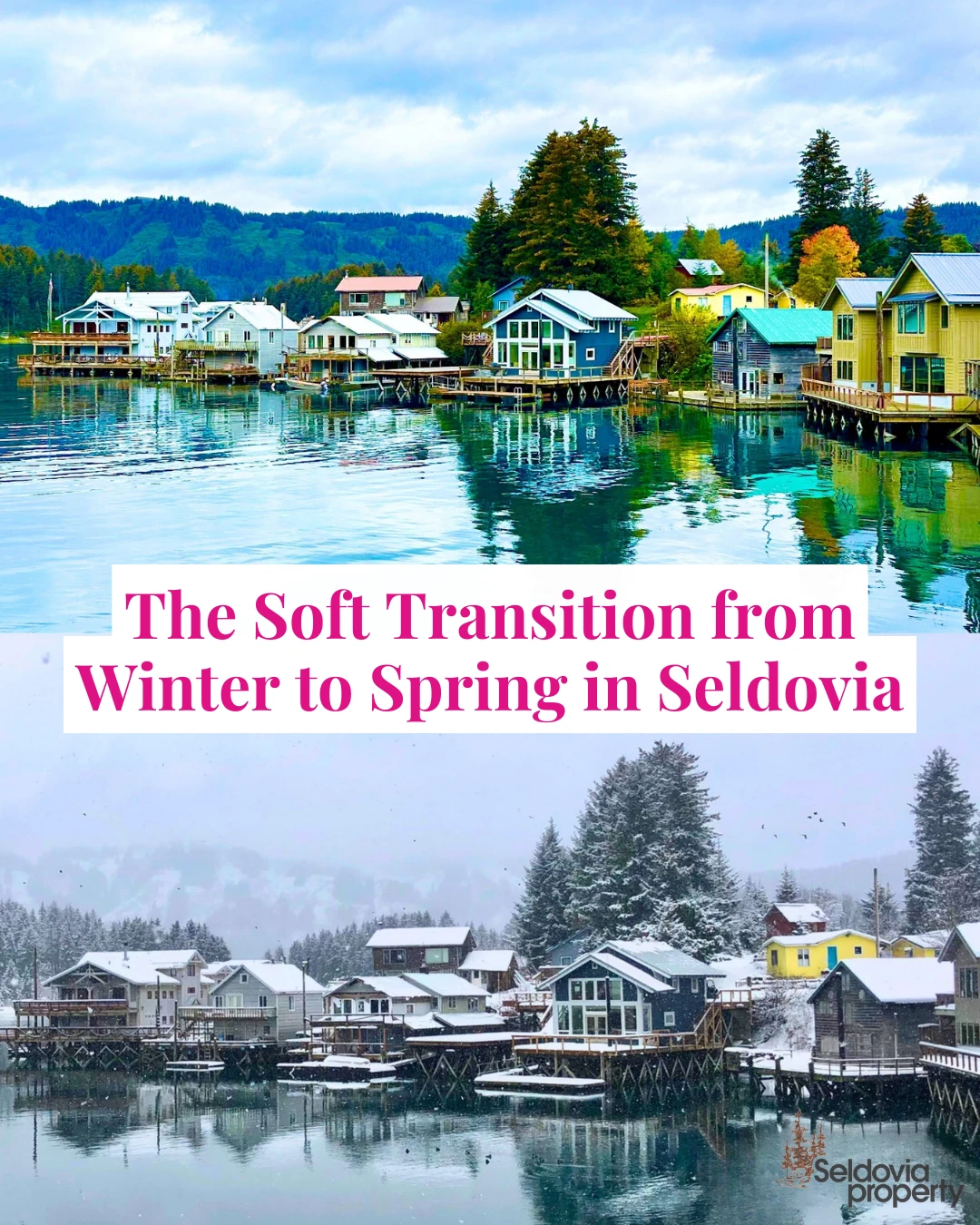 One of the things I love most about spring in Seldovia is how gently it arrives. 