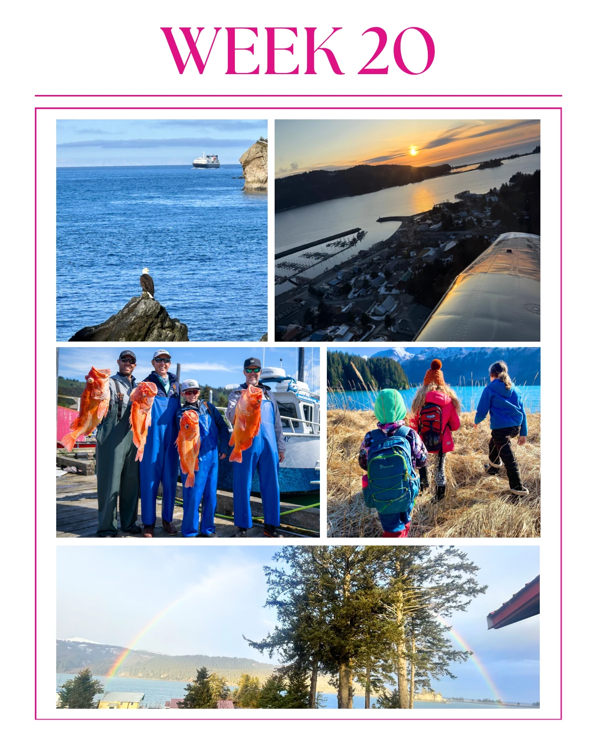 Week 20 of 2026 in Seldovia feels adventurous, bright, and full of momentum!