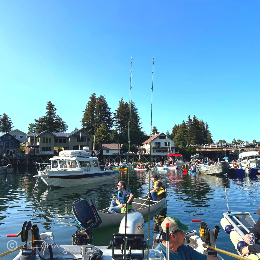 Seldovia Songs on the Slough 2023