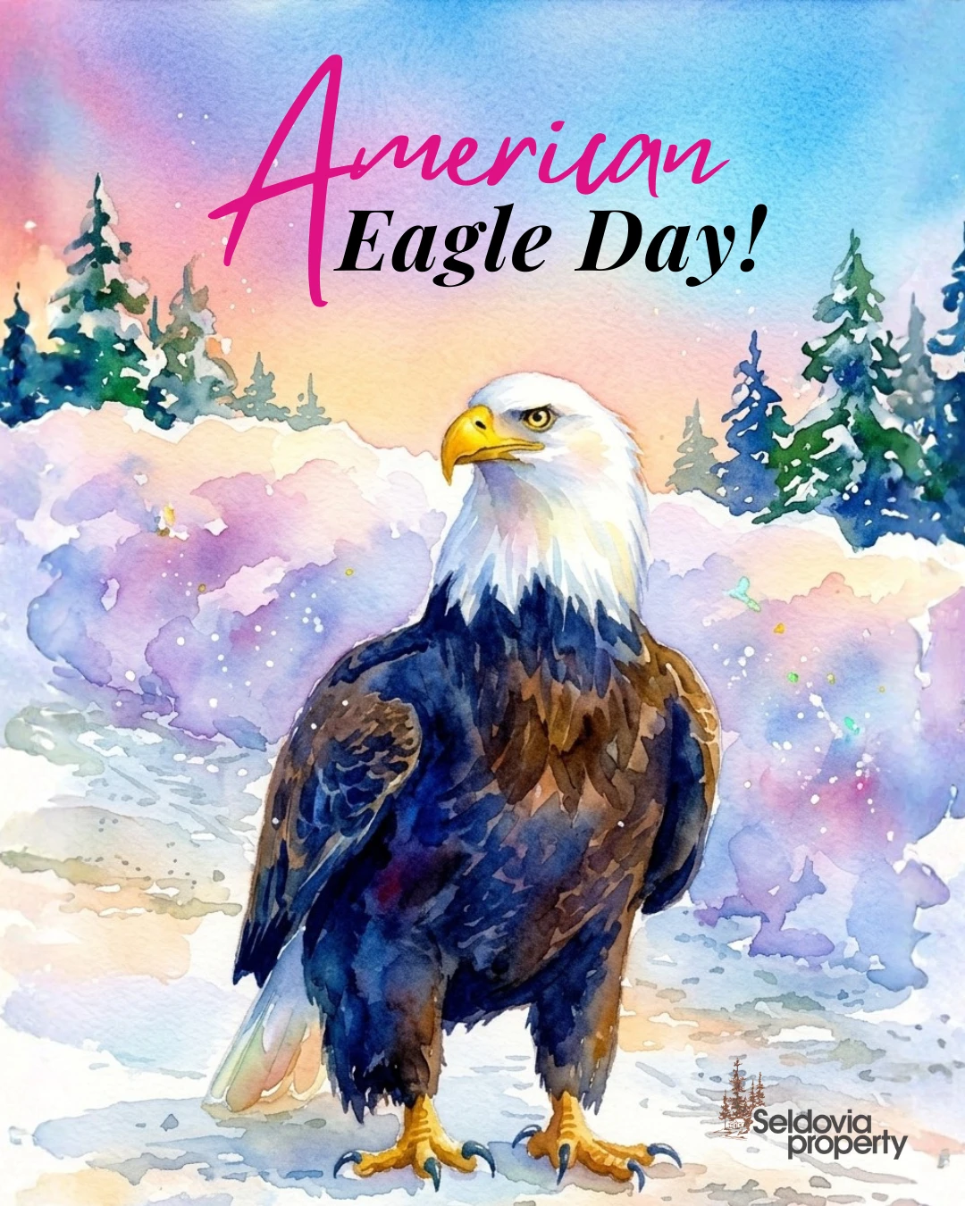 American Eagle Day reminds us how special it is to share places like Seldovia with such incredible wildlife.