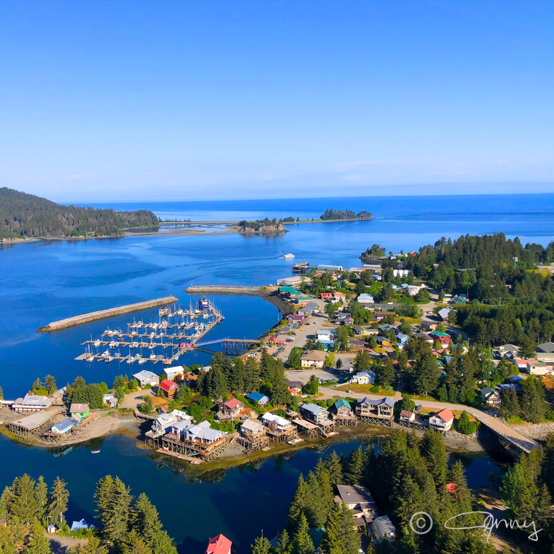 Seldovia's Aerial View