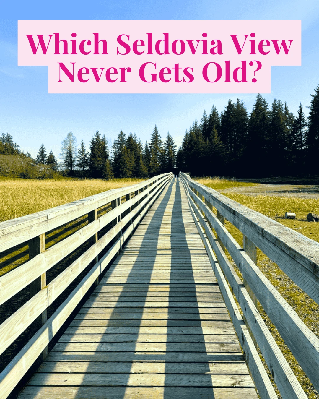 If someone visited Seldovia for one view only, where would you take them?