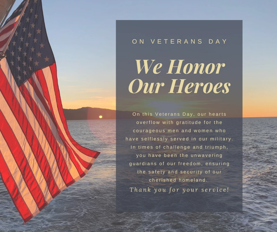 Honoring our heroes on Veterans Day!