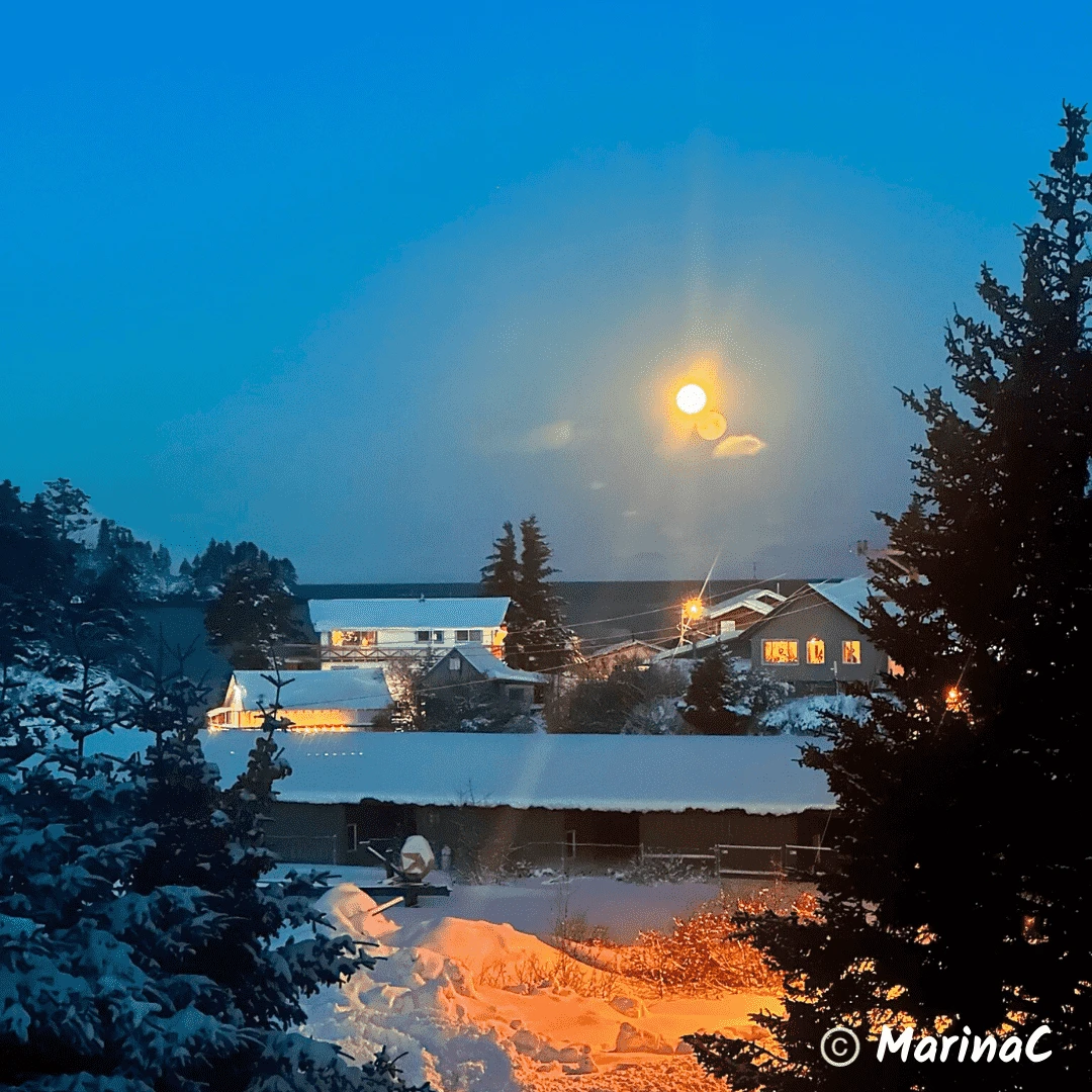 Moon setting on Christmas morning, right from my bedroom window!
