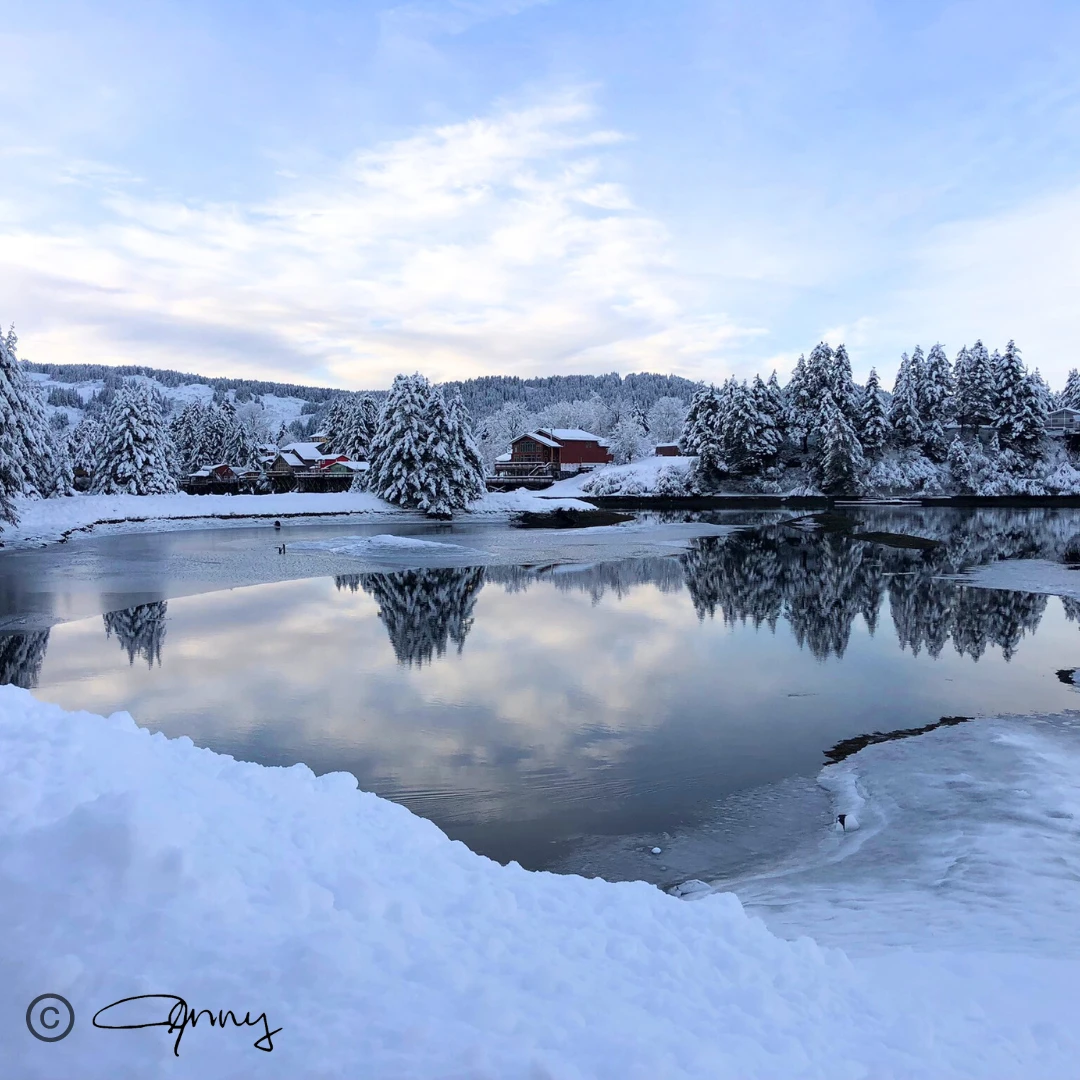 Seldovia slough - a winter wonderland view from the airport culvert