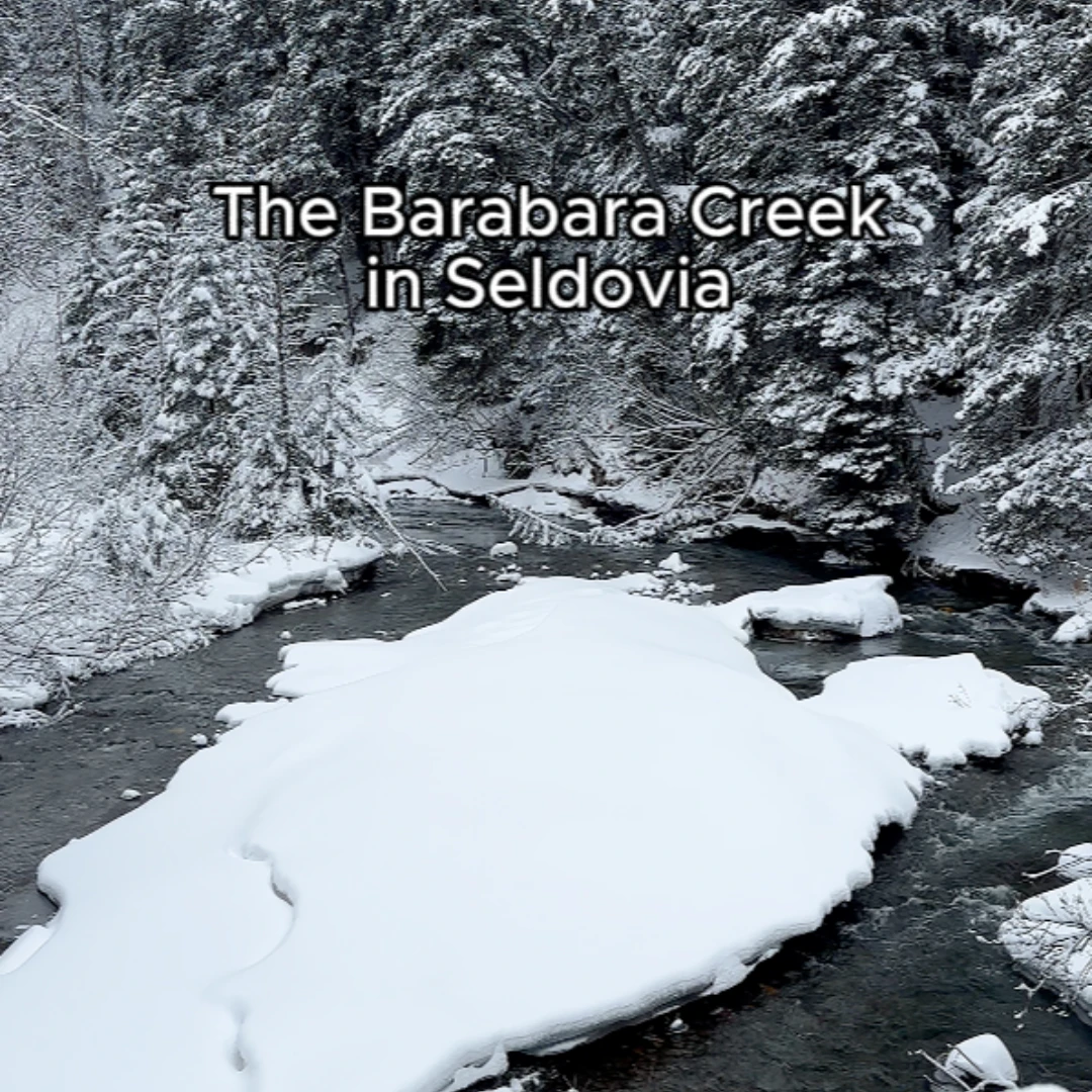 The Seldovia's Barabara Creek