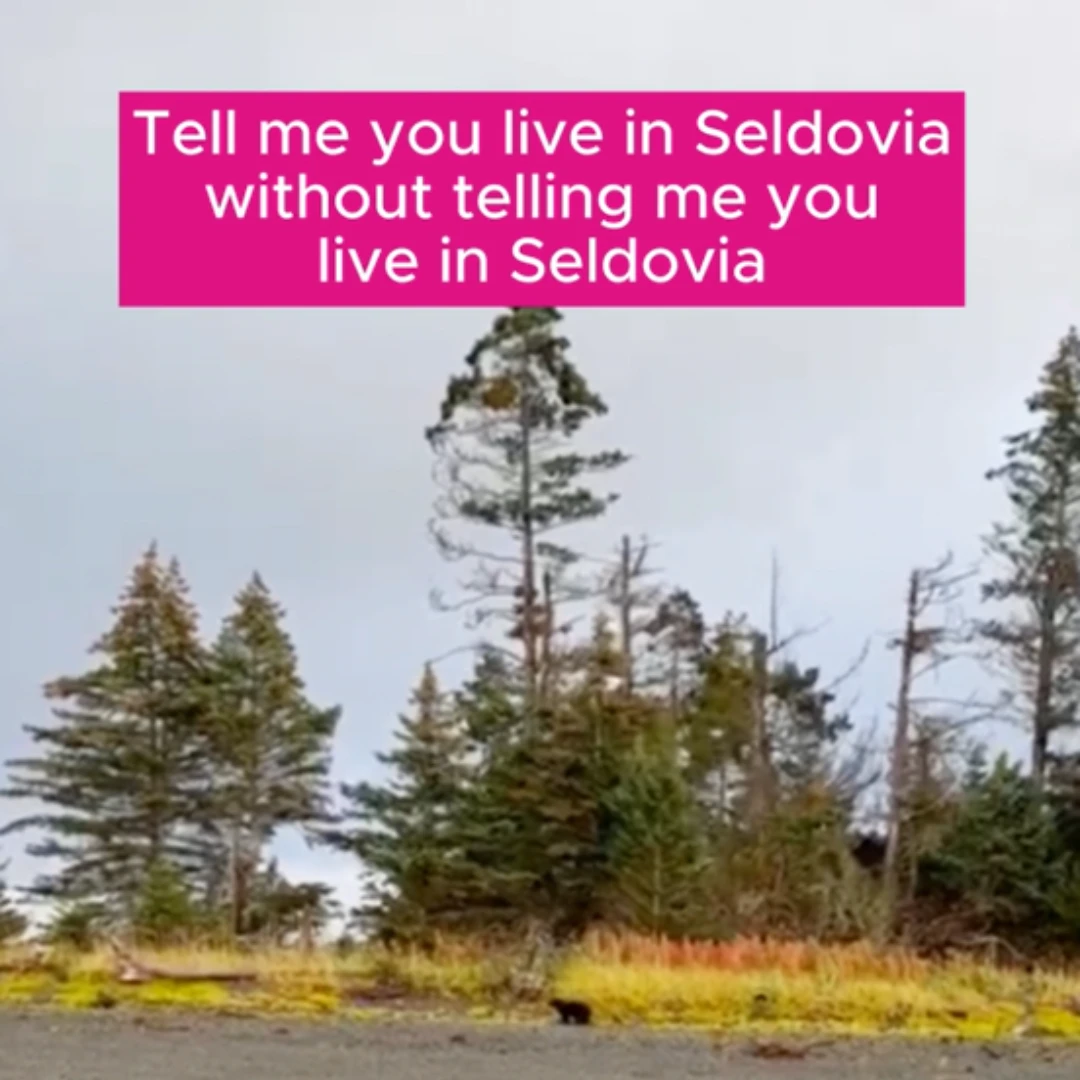 What unique moments do you think only Seldovians can relate to?
