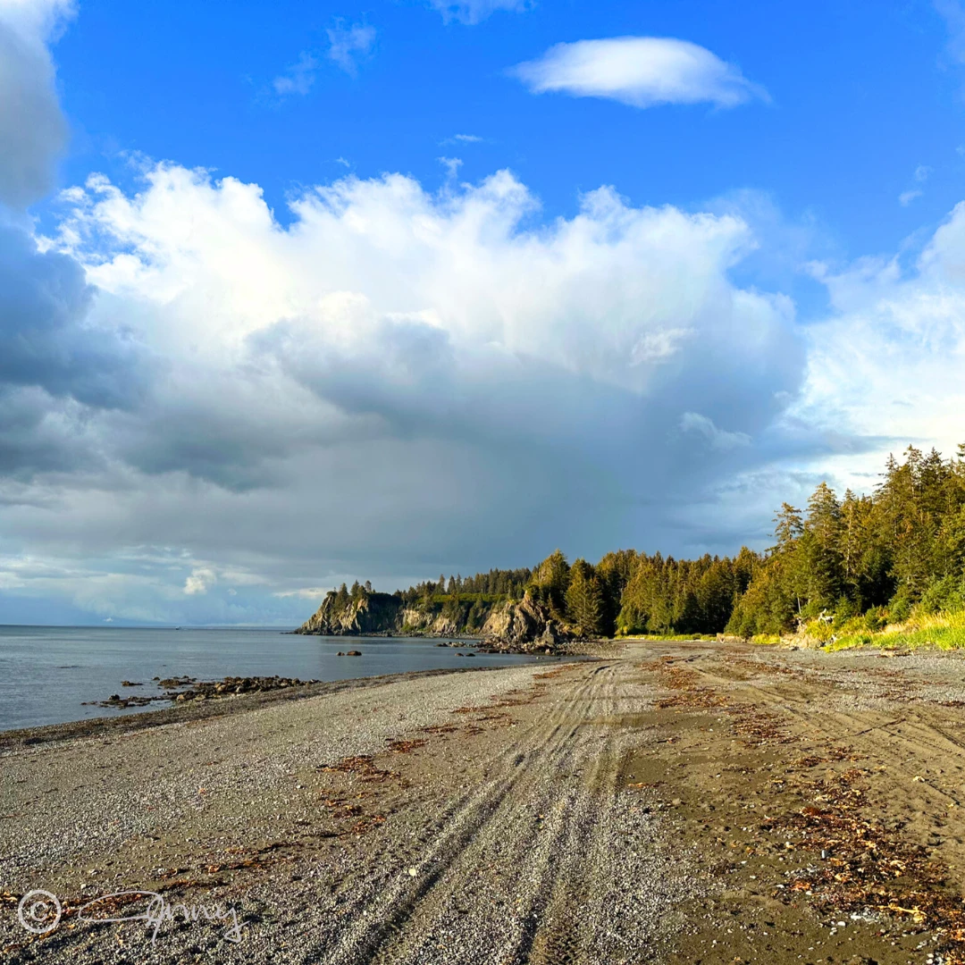 A beautiful day at the Outside Beach! ☀