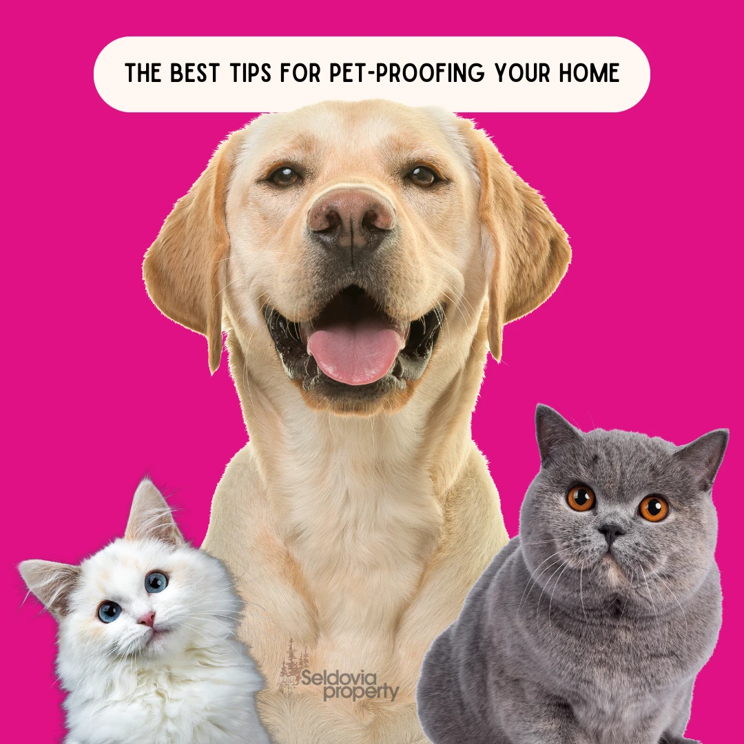 The Best Tips For Pet-Proofing Your Home