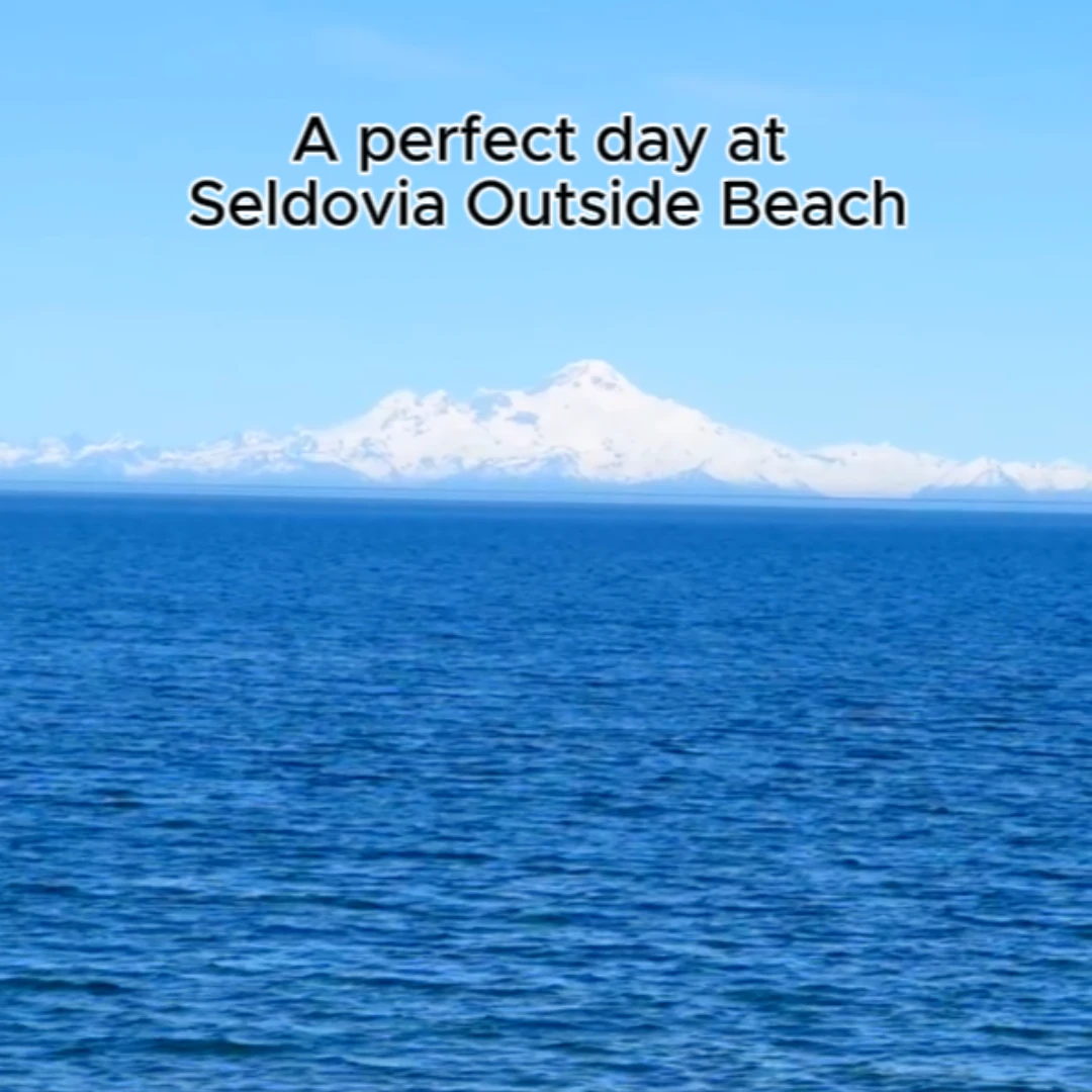 A perfect day at Seldovia Outside Beach ☀🍃🌊