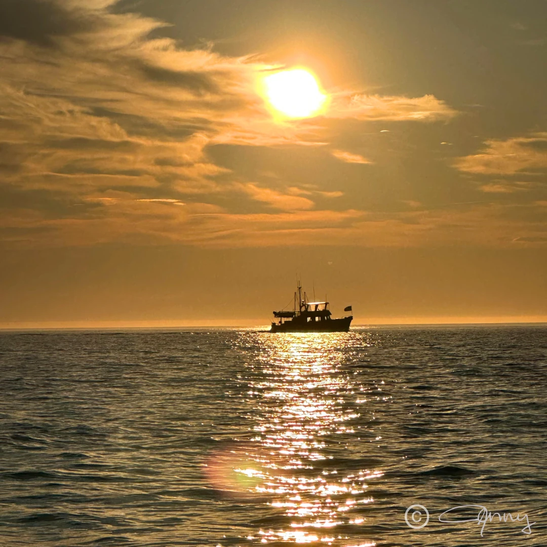 A boat heading back to Homer after a day in Seldovia