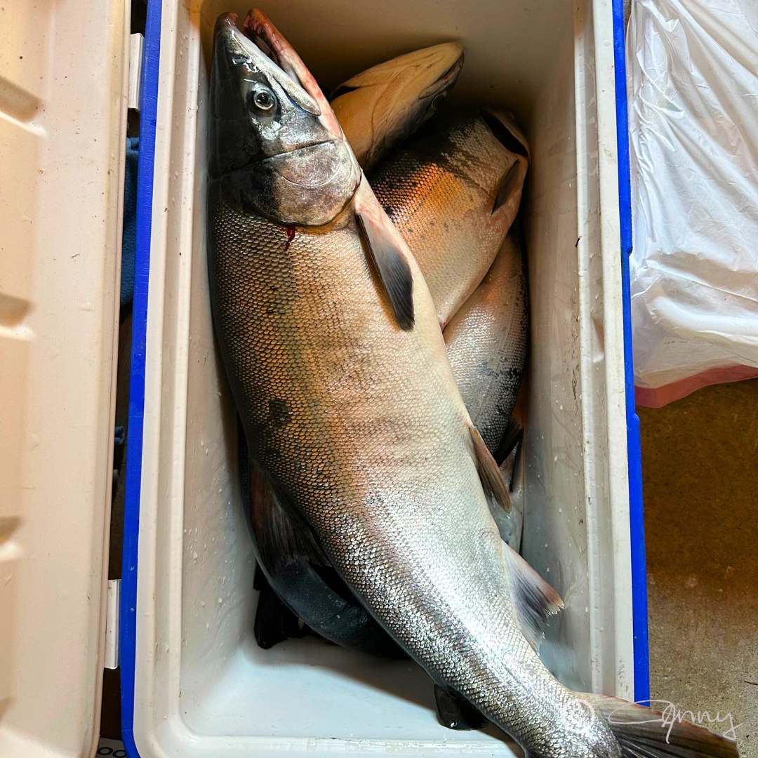 An amazing day on the water with 8 fantastic catches!