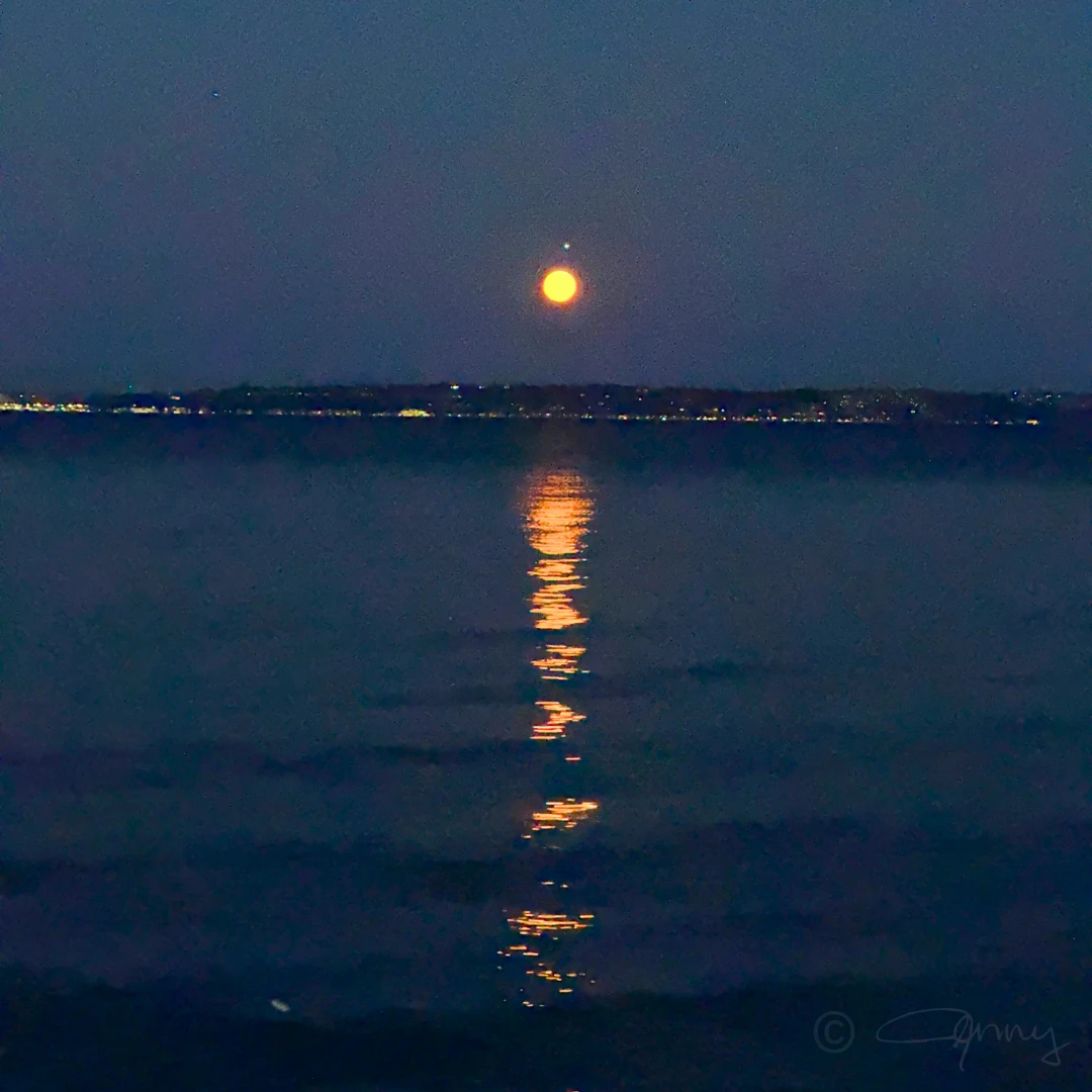 An incredible orange moon rising over Seattle! 🌕🧡