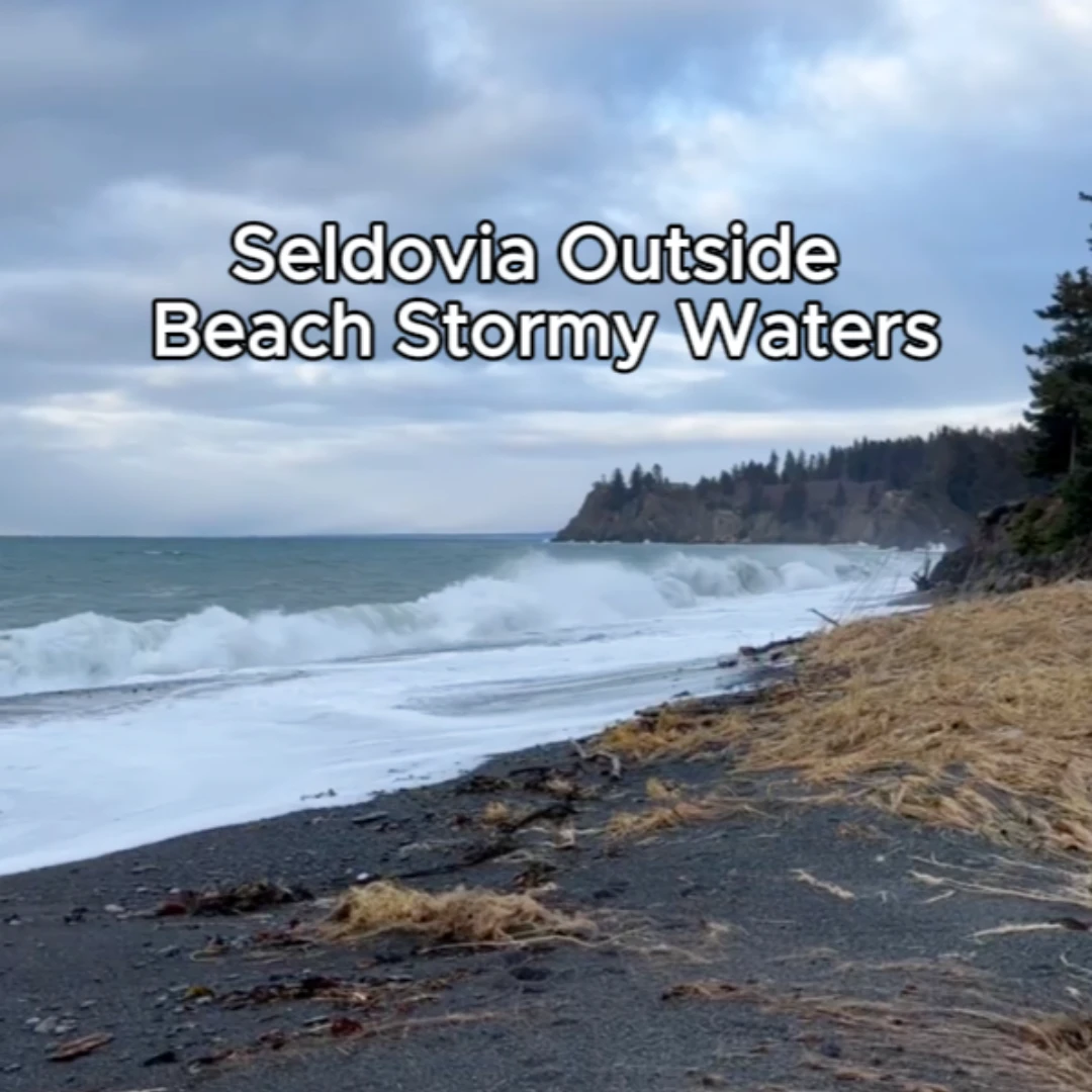 It’s been a chilly and stormy few days here in Seldovia! 