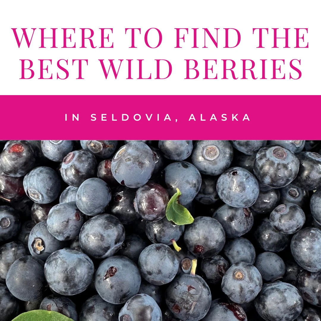 Seldovia, Alaska, is a hidden gem when it comes to wild berries. 