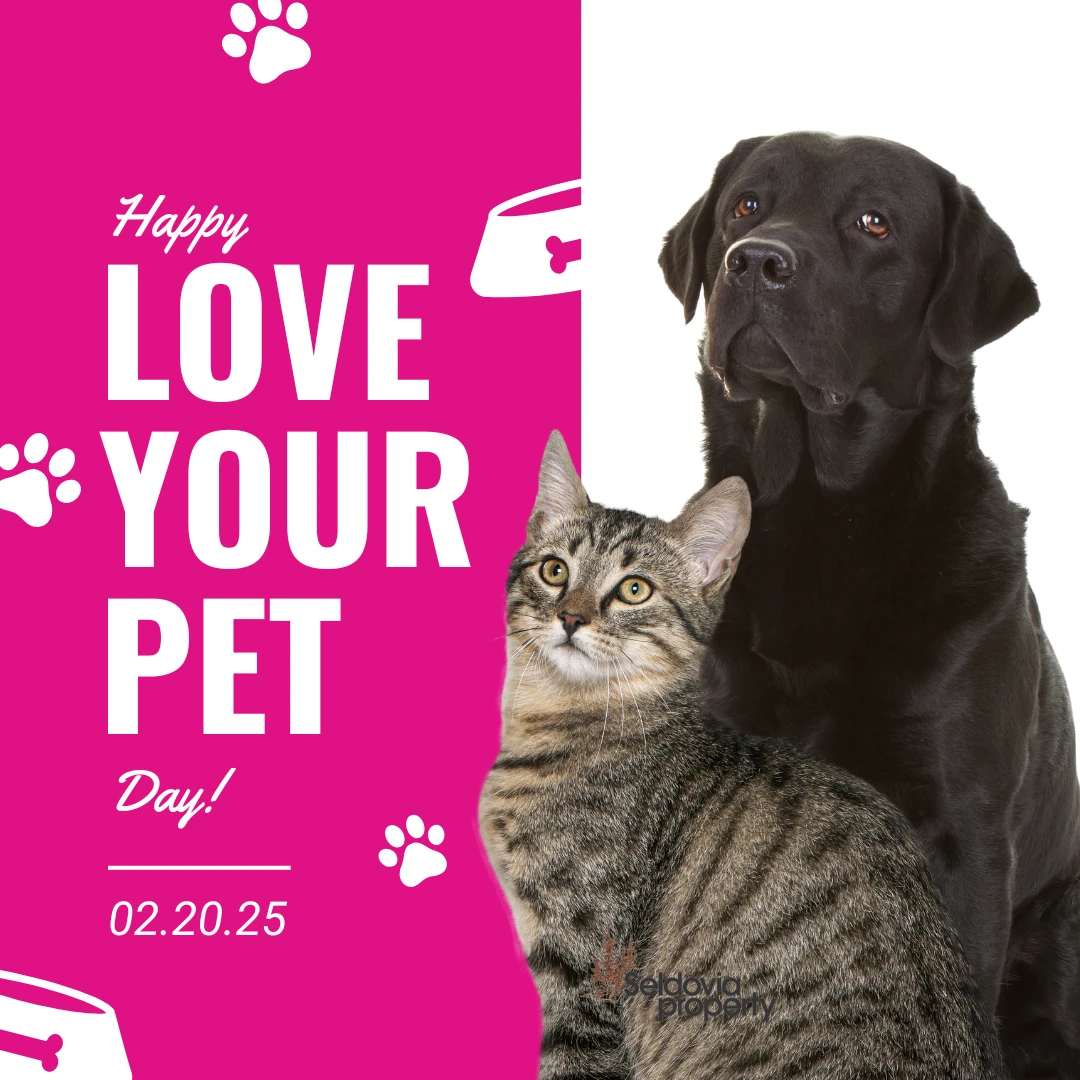 Showering Extra Love on Fur-babies!